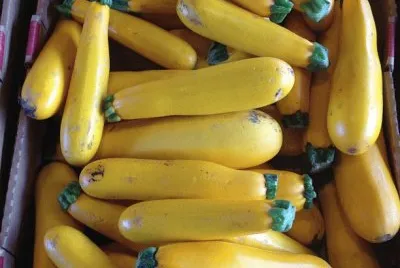 at the farmer 's market jigsaw puzzle