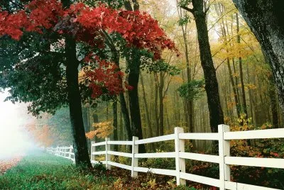 white fence in autumn jigsaw puzzle