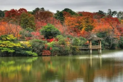 forest and dock jigsaw puzzle