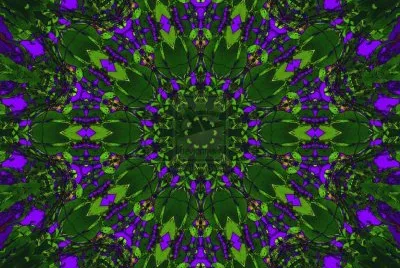 wild berry jigsaw puzzle