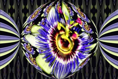 passion flower