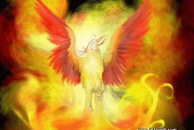 FENIX jigsaw puzzle