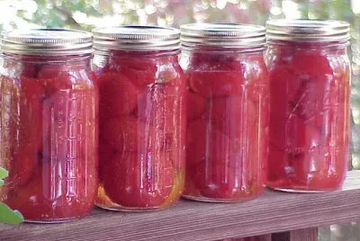 canning the harvest