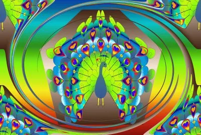 peacock colours