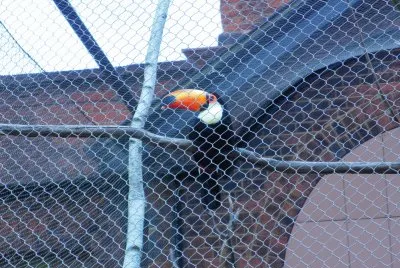 Zoo
