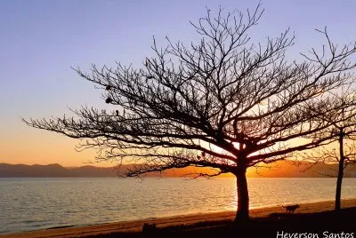 paisagem jigsaw puzzle