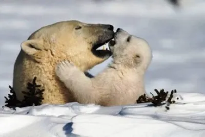 mom#106