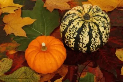 decorative and delicious