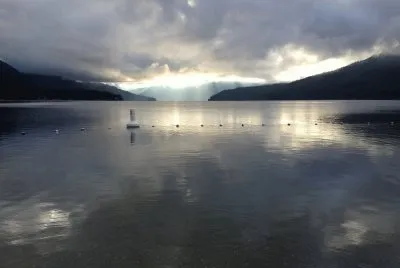 Early Morning at Harold Park, BC, Canada