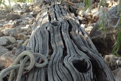 Fisherman 's Log