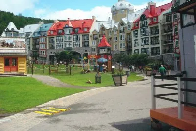 trembland jigsaw puzzle