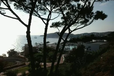 lylli78