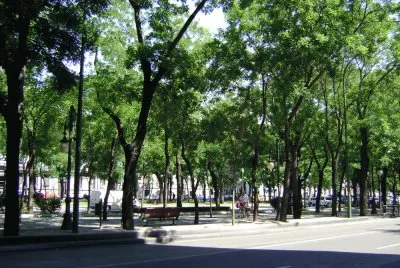 parque el retiro, Madrid
