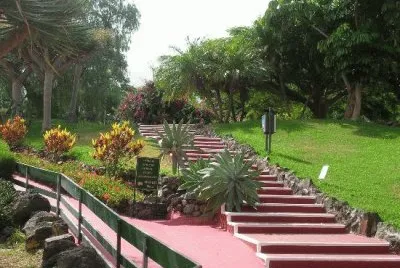 mas jardines