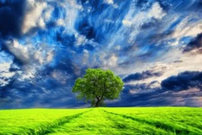 image jigsaw puzzle