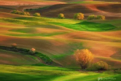 paisagem jigsaw puzzle