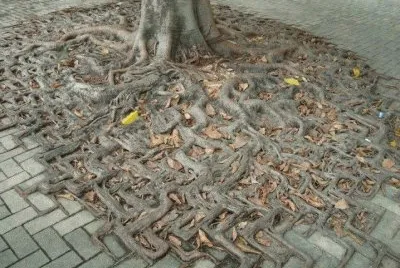 Life will find a way jigsaw puzzle