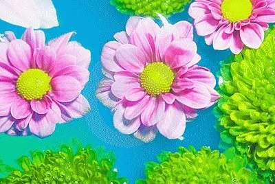 foto jigsaw puzzle
