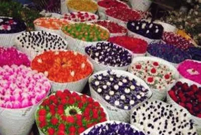 Flower Market 2