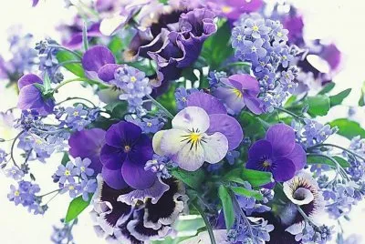 flores jigsaw puzzle