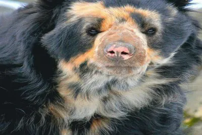 .