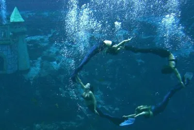 BALLET DE SIRENAS EN TAMPA, FL.