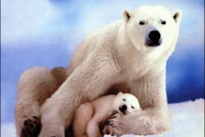 mom#109