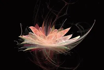 lotus flower jigsaw puzzle