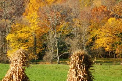 corn houses jigsaw puzzle