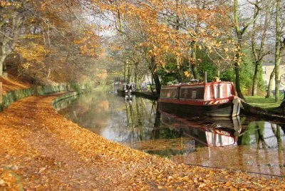 fall along the canal jigsaw puzzle