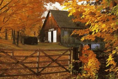 autumn country side jigsaw puzzle