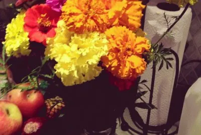 flowers from the garden