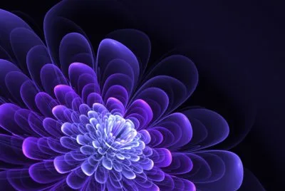 fractal flower