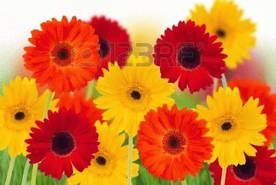 image jigsaw puzzle