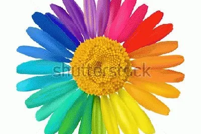 image jigsaw puzzle