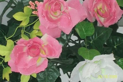 Flores