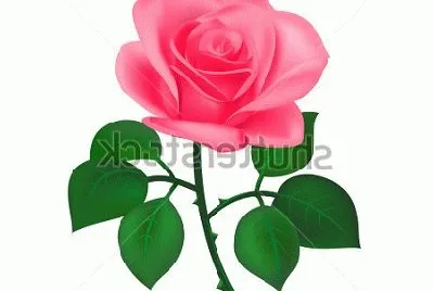 image jigsaw puzzle