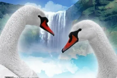 c3