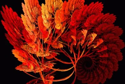 fall fractal