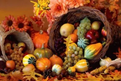 legumes, fruit, and flowers