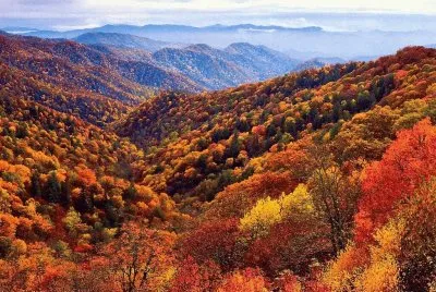 fall in the Smokies NC