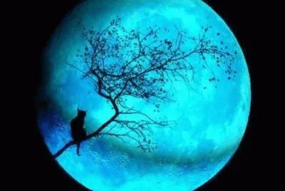 luna