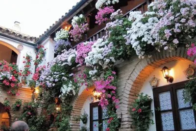 casa flores jigsaw puzzle