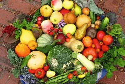 harvest basket