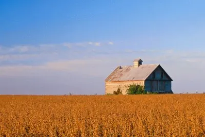 soybeans and barn