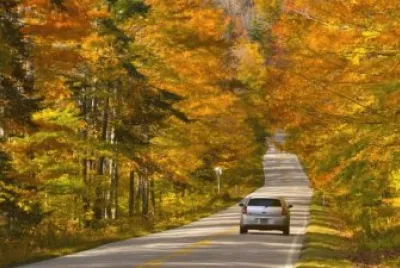 White Mountain drive