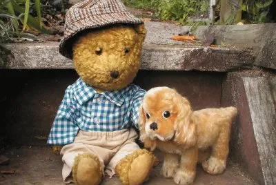 Teddy bear and his dog