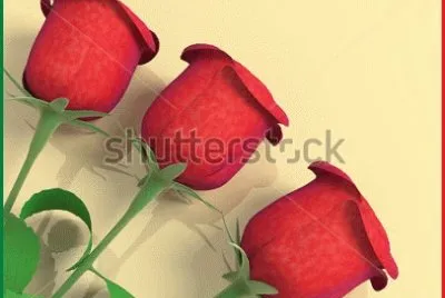 image jigsaw puzzle