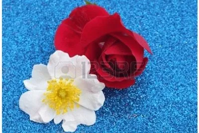 image jigsaw puzzle