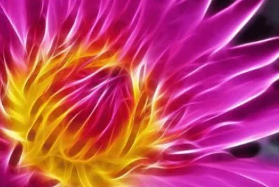 flor digital